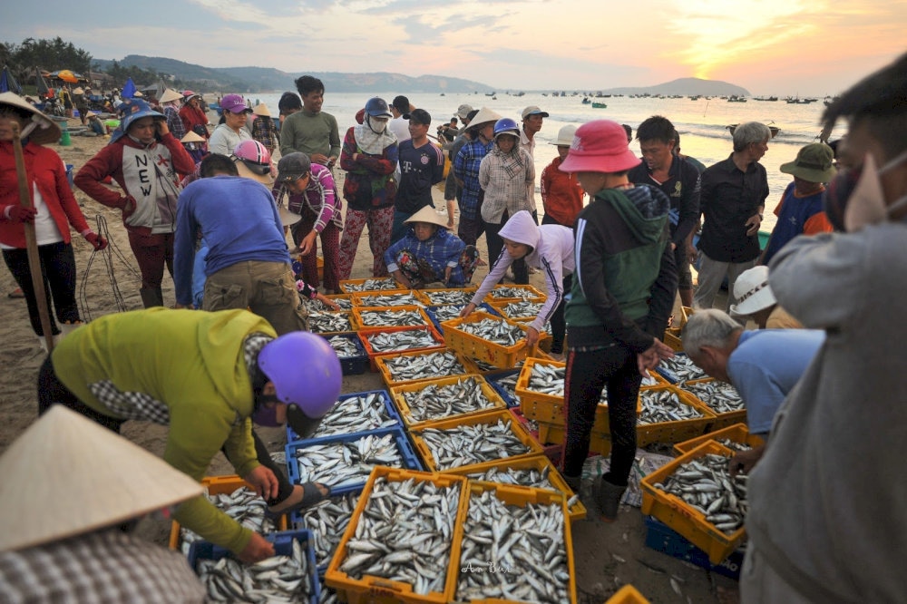 Bạn nên ghé làng chài vào buổi sáng